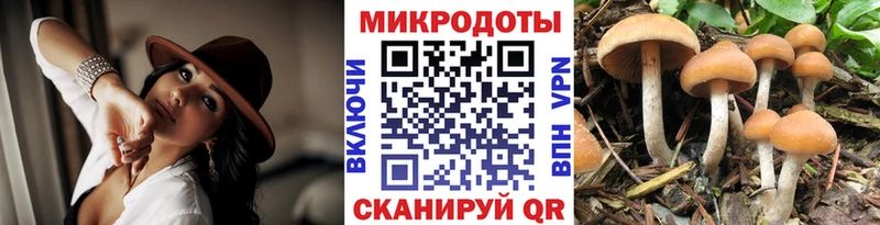 Галлюциногенные грибы мицелий  Купить закладки  Янаул 